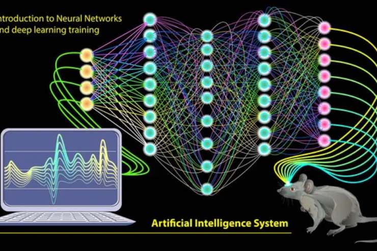 Studi celebrali con AI